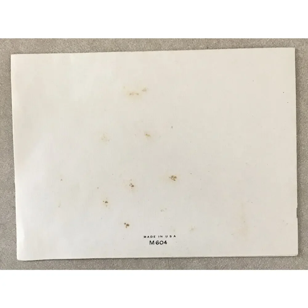 Vtg 1930s Greetings Mother Dear Blank Card Floral Country Barn Design